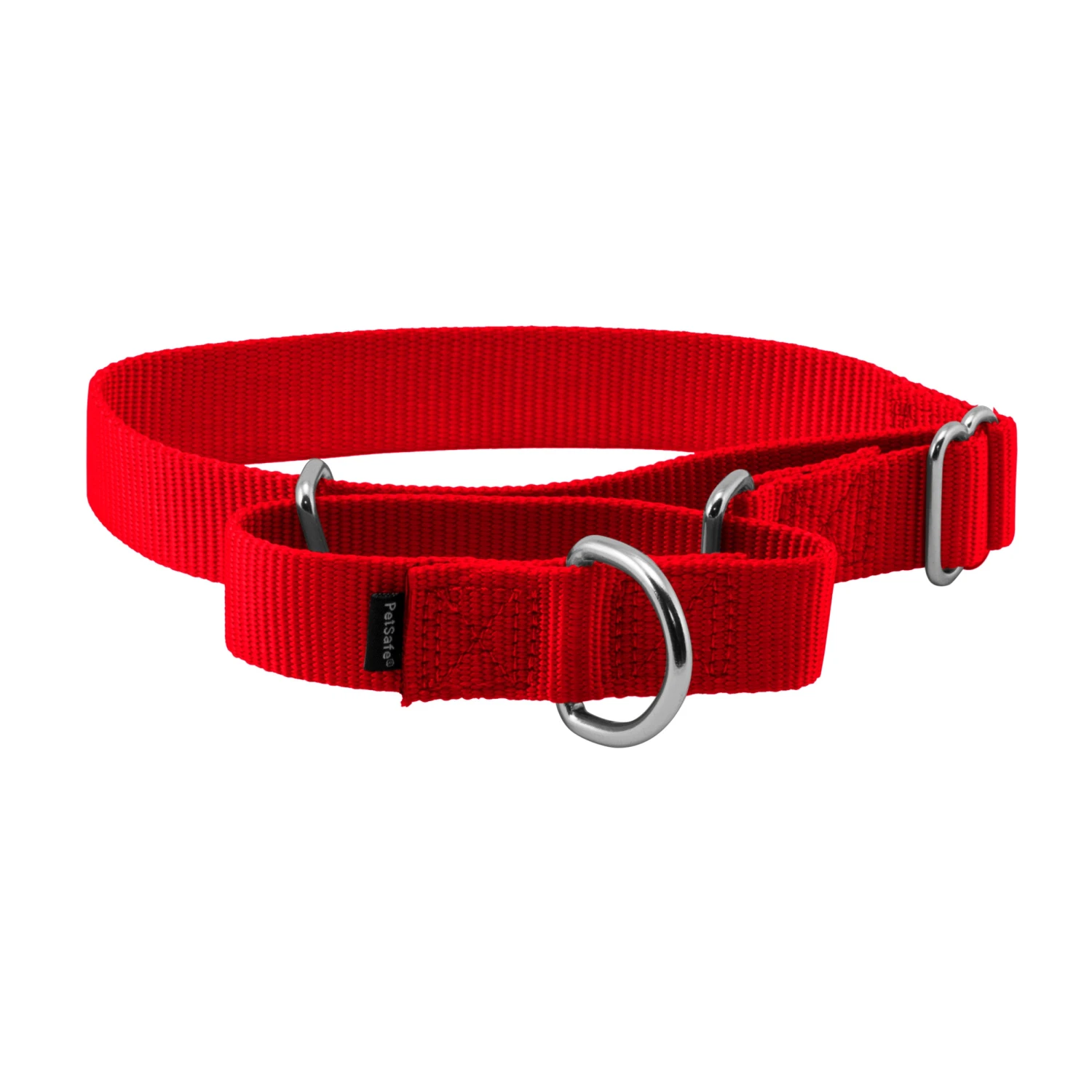 Martingale Collar 14 Martingale Collar - Image 12