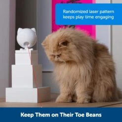 Dancing Dot™ Laser Cat Toy -PetSafe® mbe8lnzjw4qhpdqfdtjn b3cee97d ee74 4ec1 886d d2a79eef6fde