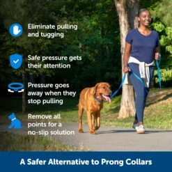 Soft Point Training Collar 15 Soft Point Training Collar -PetSafe® mbl3gndph5nbmk46x8wb 2e93e043 6d46 460d 9c3f 8e8c3f1ed734