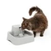 Drinkwell® ½ Gallon Pet Fountain -PetSafe® mcdazcy1bjsrnxer1uc9 44ceefa4 1930 4def 9e44 59a877794ae7
