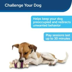 Busy Buddy® Bristle Bone® -PetSafe® md8fhkizocqzys2qljkr c7e5cc75 e724 484f b70f c0ecec377671