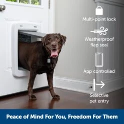SmartDoor™ Connected Pet Door Tunnel Extension 13 SmartDoor™ Connected Pet Door Tunnel Extension -PetSafe® meo9ngrgi6dmvehs0prm 6abaff2d 3ba2 4b1a 8d20 2517d649594a