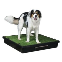 Pet Loo™ Pet Toilet -PetSafe® mv4ighqn4zyb4mbl5ahy effe6753 9577 485e ba3f 127b5d608825