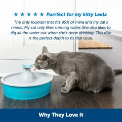 Drinkwell® Butterfly Pet Fountain -PetSafe® mxvfxhf1osg7hjqdcya0 b00573ef 8331 48a6 b05f 839797782067