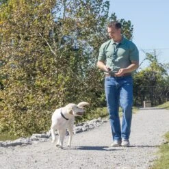 Remote Trainer Lanyard -PetSafe® n22st2zutmfn8uzjum5y 72c71d9d acb0 4920 9ac8 c9b8c68b82d0