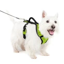 EasySport Harness 32 EasySport Harness -PetSafe® nieyy8zk8dyndfzxp6vr eeae6d84 e0bb 4b06 ab0b 8c16a876a07f