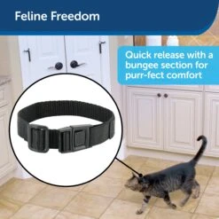 Collar Strap For Cats -PetSafe® nixe1cvzrfviwklqp5gx 547a6bd7 91d1 4b81 9982 1a000a173d4a