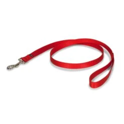 Nylon Leash -PetSafe® oe0qaibwb2tzithnzhgv 28465e32 417b 41bc 9622 368a962327cb