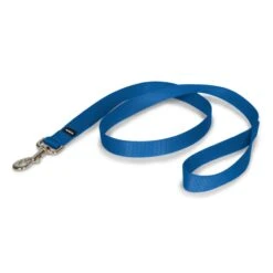 Nylon Leash -PetSafe® oit1c0ynpqla6s5lhnpg de9d2c10 9fbc 460e bcfd e97119539922
