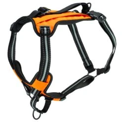 Walk-Along™ Outdoor Harness
