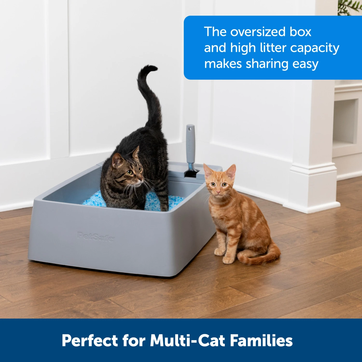 Multi-Cat Litter Box 4 Multi-Cat Litter Box - Image 2