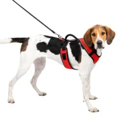 EasySport Harness 30 EasySport Harness -PetSafe® pcfmxskizfvfvmqcb4vb 0e785e0a 814e 4718 b006 e4bd565daab7