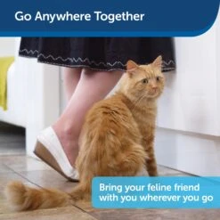 Disposable Litter Box With Litter -PetSafe® pehzk1fwriyw1ohkmupy