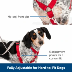 Sure-Fit Harness® - Large -PetSafe® ps amz atf surefit14