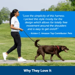 Sure-Fit Harness® - Large -PetSafe® ps amz atf surefit15