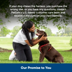Sure-Fit Harness® - Large -PetSafe® ps amz atf surefit16