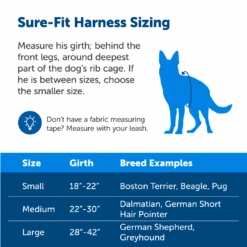Sure-Fit Harness® - Large -PetSafe® ps amz atf surefit sizing l 1080x1080 2167b92c 3371 448b b4cd 7968c180668c
