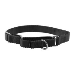 Martingale Collar 24 Martingale Collar -PetSafe® qmccc9wkvbu6dcnw1qg5 db5363f3 e59c 462d b48c f235c228454e