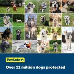 Wireless Pet Containment System™ Extra Transmitter -PetSafe® qpcfaipr2m4st3azfenm da22d2e3 e295 404a ac77 c9f1e30c69ec