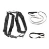 3 In 1 Harness With Two Point Control Leash -PetSafe® qrlmwlj3e6lhahn6zbhc 3c2c7f96 3483 4e1d 8008 25d2f84689cf