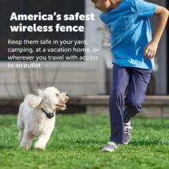 Stay & Play® Wireless Fence With Replaceable Battery Collar -PetSafe® qzaq6hrfwt41duwg6nis