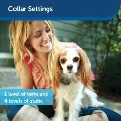 Deluxe Little Dog In-Ground Fence™ Receiver Collar -PetSafe® r4avstlsyk5iidnpbwov 9993ed9d b9a7 4396 aa72 08fb96f5c0c0