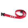 Replacement Collar Strap For Basic Bark Collar -PetSafe® rfa 264 c square 9597e549 8d87 4c8c 91c7 8e94091b381e