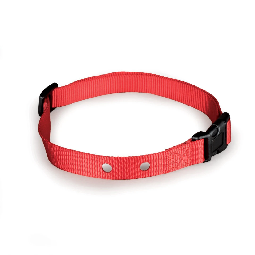 Replacement Collar Strap With 2 Holes 4 Replacement Collar Strap With 2 Holes - Image 2