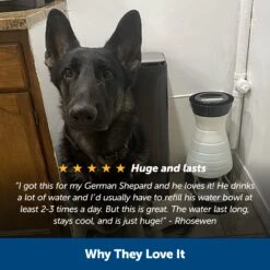 Healthy Pet Water Station™ -PetSafe® rilb2h5mutprkauqoiz6 e1ee793d b303 4c06 9081 18dbbe360b18