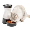 Healthy Pet Food Station™ -PetSafe® rnltmzzsjpzssavazgg9 ebb7dde8 0145 4d24 ab58 f9547e52bc2a