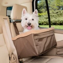 Happy Ride® Booster Seat -PetSafe® rs5iegncvputwzcvm5s9 36071029 79f6 49f5 9a1d dd9ba4dc5dab