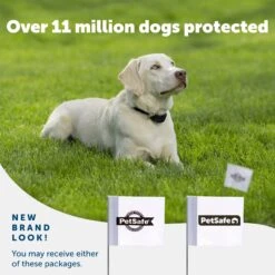 50 Boundary Flags -PetSafe® rsewopyorcuqfpmyhjrg fedd611d c22c 4393 9215 e21b0450ae38