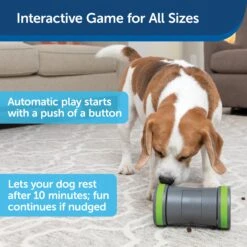 Kibble Chase™ Roaming Treat Dropper -PetSafe® ryqpuafibbymzrckyetr d3e95591 fcac 4e48 b813 77bd4f89d7ec