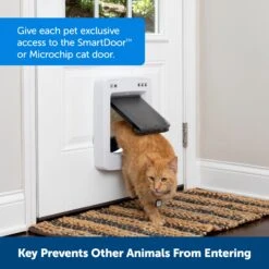 SmartDoor™ Connected Pet Door Key -PetSafe® s1mweasnrpqcbx1zfufw 4b8b2718 191c 4c36 8aa2 46205875b6d3