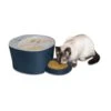 Six Meal Feeder -PetSafe® s6acjrjgvjoxifcxmtev c251a450 648d 442e 94c7 bacc1e03fb36