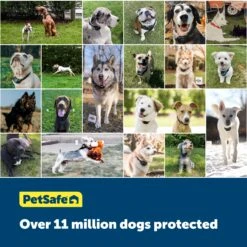 20 Gauge In-Ground Fence Boundary Wire, 150 Ft -PetSafe® so8ub7ylhnamolmlvp7y 036ace93 cbc4 4d8c b6a0 843ed3b1c90a