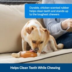 Busy Buddy® Chompin' Chicken -PetSafe® ssqqt6lmei5vnofbpnhy 85207e94 80fa 4a1c bc71 8e9e0d567a23