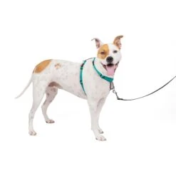 3 In 1 Harness -PetSafe® swqbefv2l8m32wfdiaxt c9759b10 1f44 49f7 a635 e07648660b06