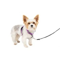 3 In 1 Harness -PetSafe® t3g2utrtvw9umomfowkz d3d8e2c8 6e3d 4af6 b466 ffdf87292bcd