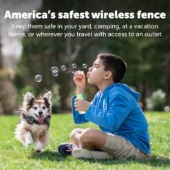 Wireless Pet Containment System Receiver Collar -PetSafe® tanv86a8tprv4je2fb0q