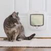 Microchip Cat Door -PetSafe® tljq0dum9vxukwhkkcxw fcb2a89f 1a8f 4ce4 96d0 0093739efd9f
