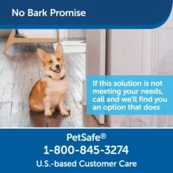 Indoor Bark Control, 1-Pack -PetSafe® tt60h6hearzlqzbyq0r1 1d588925 de0c 42ac a892 6173e3b82741