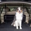Happy Ride® Dog Barrier -PetSafe® twsuv5wwyn2obdrhaicq 8fbec5af 37c1 4f9d b1ab 2cc951c1794b