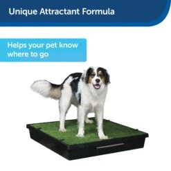 Skip To My Loo House Training Scent 11 Skip To My Loo House Training Scent -PetSafe® u3sscva9ohp2oummbjpo 035fdc93 f0b8 42cb a7ca 0bc95239eb70