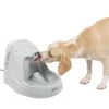 Drinkwell® Platinum® Pet Fountain -PetSafe® udsrib7uprvzhfqlpwfx