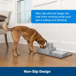 Fountain And Feeder Mat -PetSafe® uf5qd3t5i1lbwqokrwtq 100b21b3 36c1 4b2a a539 2202855db117