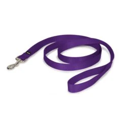 Nylon Leash -PetSafe® uleuvwa4v8mvdmj0rpp2 7d8be747 09f8 4cda bc34 a61dcec0f660