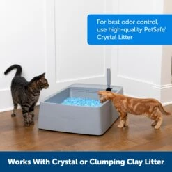 Multi-Cat Litter Box 13 Multi-Cat Litter Box -PetSafe® uopgir6nrigfphngbpye ae280972 a093 4ef1 b3fa 71fd06d98a79