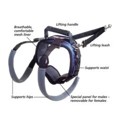 CareLift™ Rear Support Harness -PetSafe® uovlpmsr9vqycqcodnj5 8d166fc1 dbff 4427 8fd3 117417f11f8b