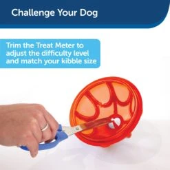 Sportsmen Kibble Nibble™ -PetSafe® vihlctzubjearcayh2r7 183d58a8 c0a9 4f89 9c96 c70f241f1ac1